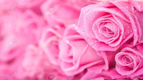 africasexxx onlyfans leaked picture 2