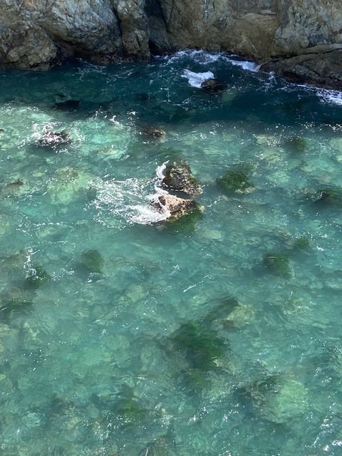 allnaturalnature onlyfans leaked picture 2