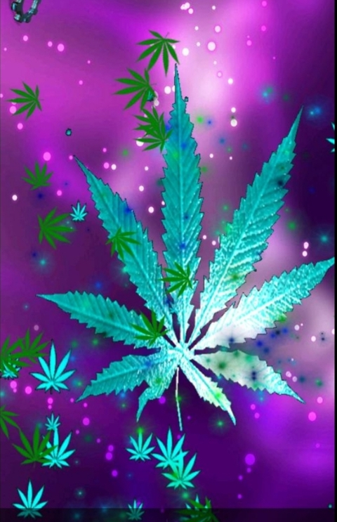 anya_fox onlyfans leaked picture 2