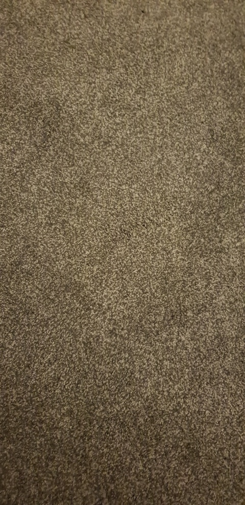 arghwhy123 onlyfans leaked picture 2