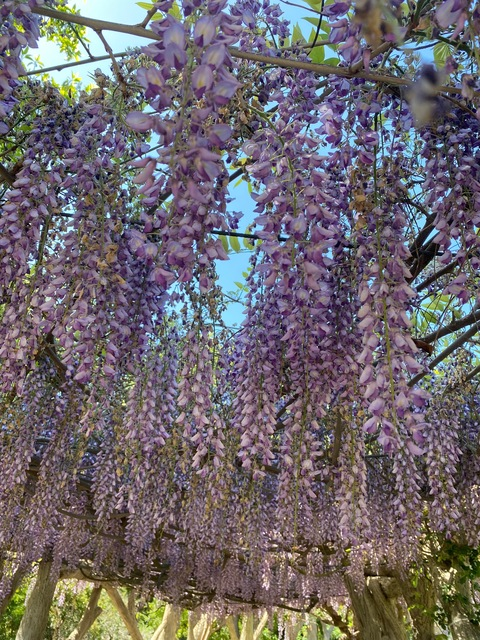 bbyymoon onlyfans leaked picture 2