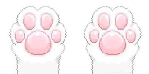 beanuwux onlyfans leaked picture 2