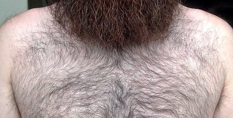 beard_doe onlyfans leaked picture 2