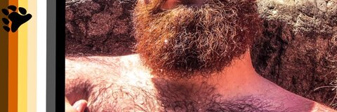 beardybeef onlyfans leaked picture 2