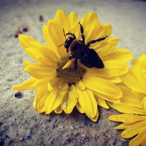 beebeagun onlyfans leaked picture 2