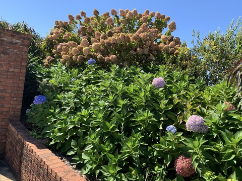 bigbluepremium onlyfans leaked picture 2