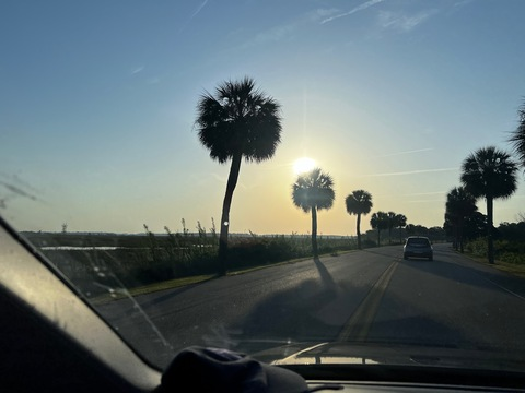 bootyqueenb22 onlyfans leaked picture 2