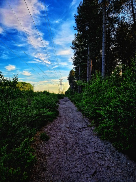 brenwebb onlyfans leaked picture 2