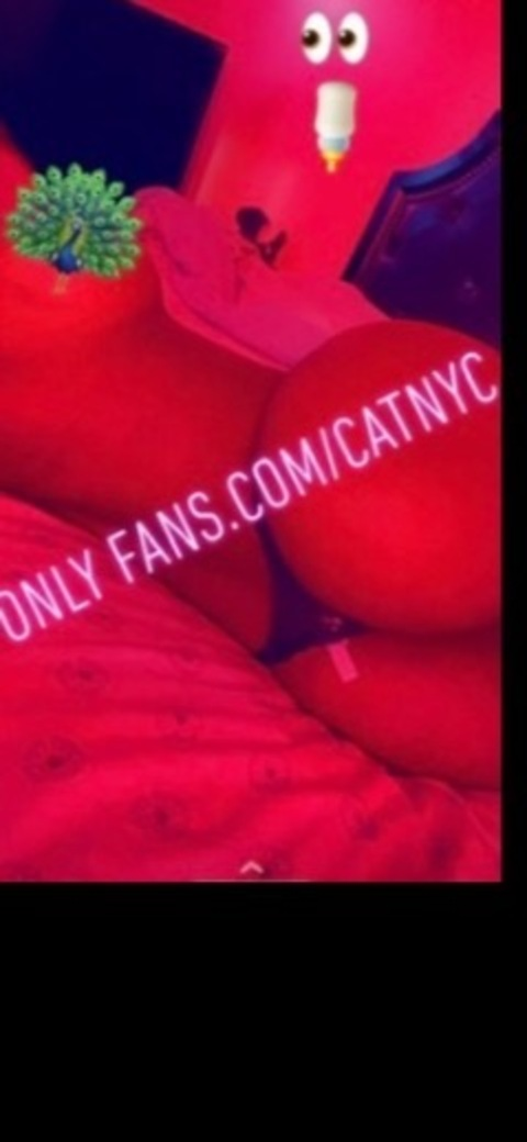 catnyc onlyfans leaked picture 2