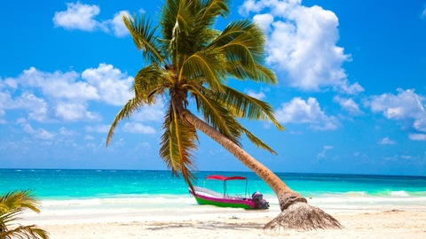 charmingislandgirl onlyfans leaked picture 2