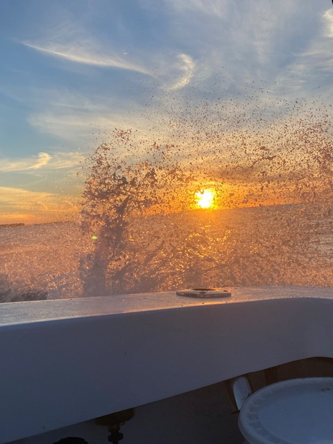 collin_white onlyfans leaked picture 2