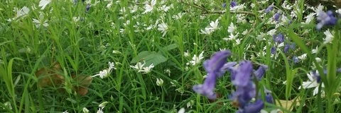 crowxoxo onlyfans leaked picture 2