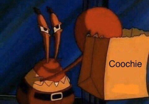 cyberfairyevee onlyfans leaked picture 2