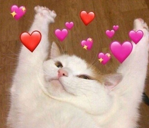 d0raking onlyfans leaked picture 2