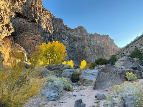 daniellewiildxxfree onlyfans leaked picture 2