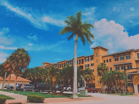 danimcsillyy onlyfans leaked picture 2