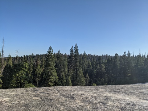 deewanderer onlyfans leaked picture 2