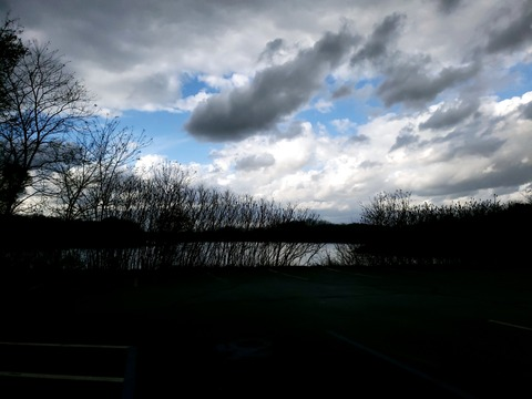 fat_kitten onlyfans leaked picture 2