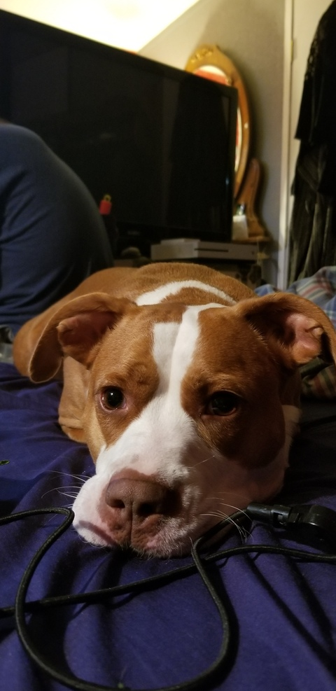 filaciaswallows onlyfans leaked picture 2