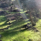 frank1991 OnlyFans Leak (49 Photos and 32 Videos) 

 profile picture