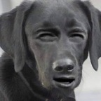 frenchdaddy onlyfans leaked picture 1