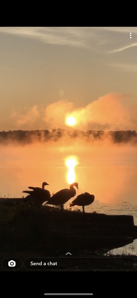 garrettwilliamxxx onlyfans leaked picture 2