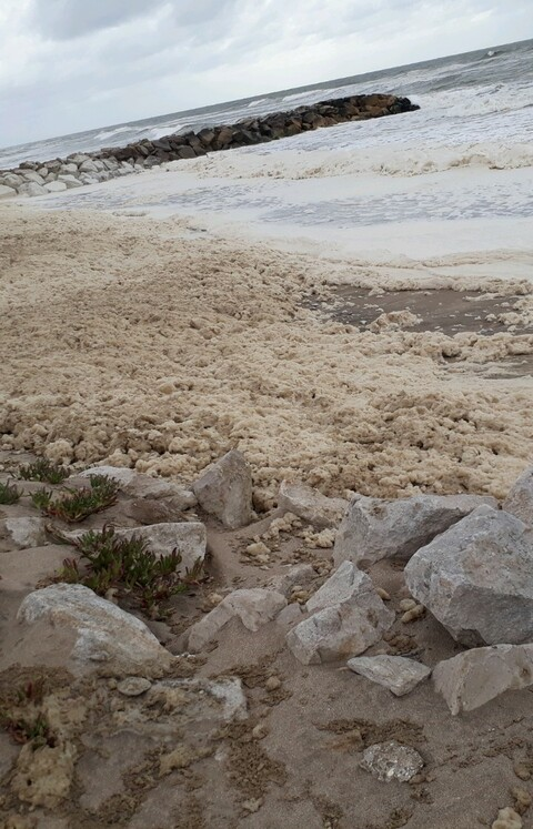 gonzaemaa onlyfans leaked picture 2