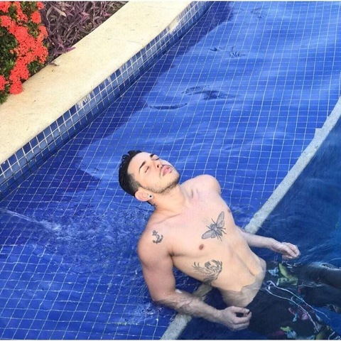 guilhermeverdelho onlyfans leaked picture 2