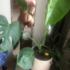 happylittlesunflower OnlyFans Leak (49 Photos and 32 Videos) 

 profile picture