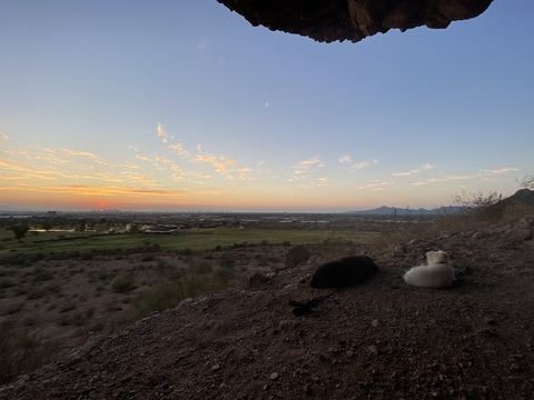 hazeyhazel onlyfans leaked picture 2