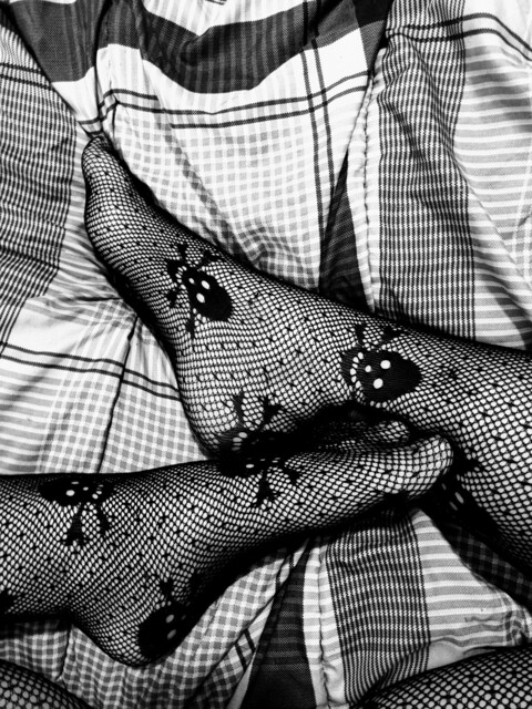 ilynpo onlyfans leaked picture 2