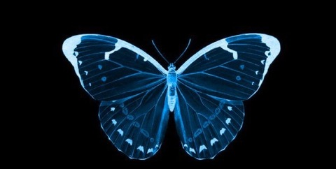 itsalyonawail onlyfans leaked picture 2