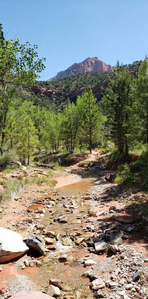 jeallyjam onlyfans leaked picture 2