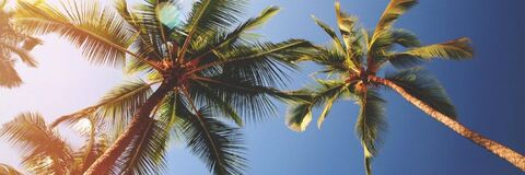 jumpingforjoya onlyfans leaked picture 2