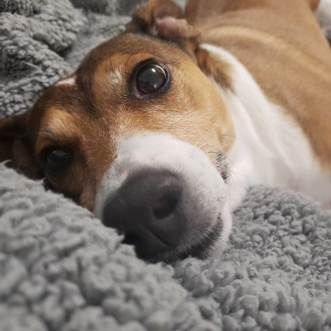 katyj1991 onlyfans leaked picture 2