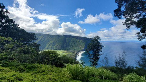 kaylasummersxo onlyfans leaked picture 2