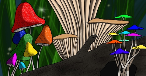 kayllaann onlyfans leaked picture 2