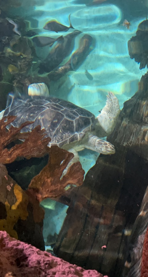 kellymabe27 onlyfans leaked picture 2