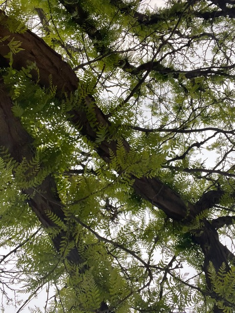 kenzer_r onlyfans leaked picture 2