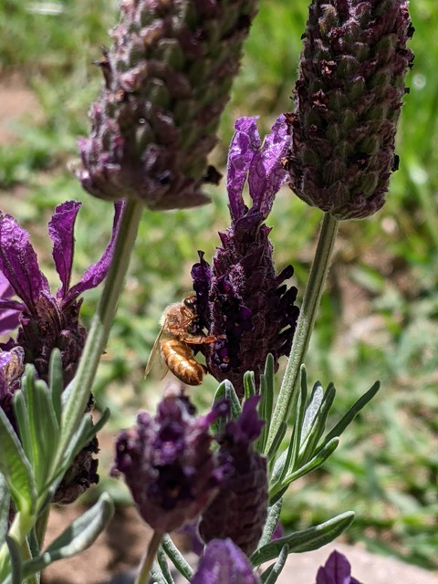 keylimety onlyfans leaked picture 2