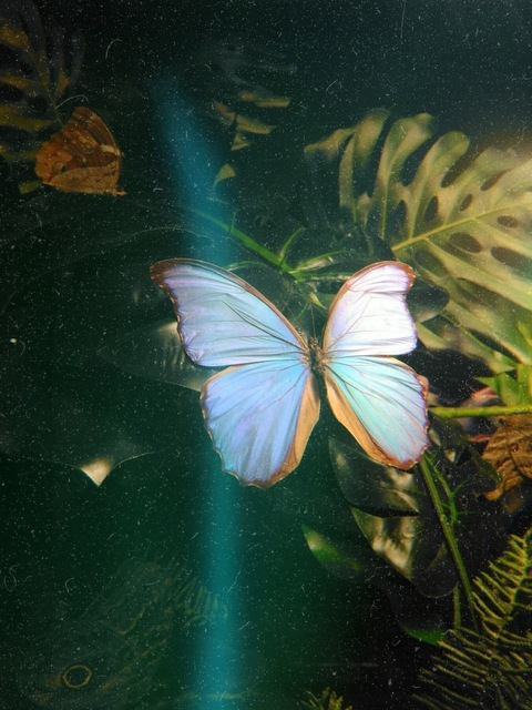 killbyl onlyfans leaked picture 2