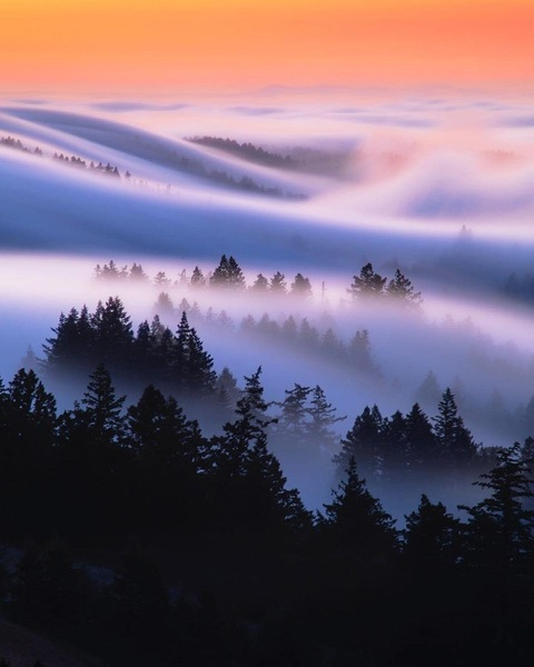 kittt-katt onlyfans leaked picture 2