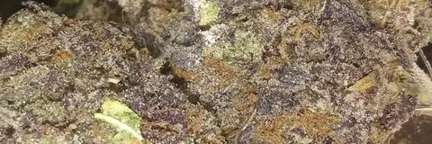 kyliekottonmouth onlyfans leaked picture 2