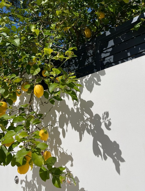 lifewithisabella onlyfans leaked picture 2