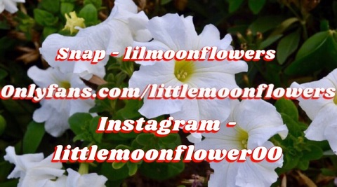 littlemoonflowers onlyfans leaked picture 2