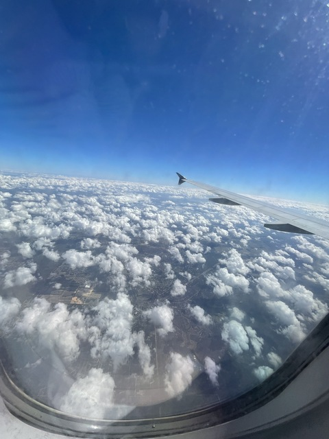 lizzyscherries onlyfans leaked picture 2