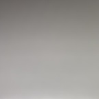 loganfox onlyfans leaked picture 1