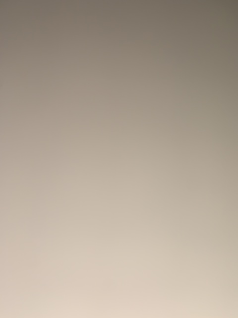 loganfox onlyfans leaked picture 2