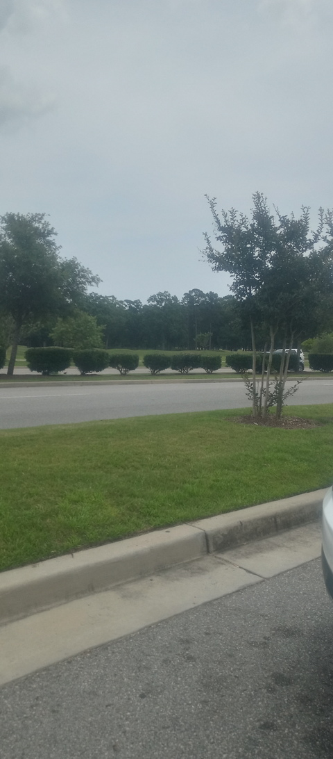 lshayla onlyfans leaked picture 2