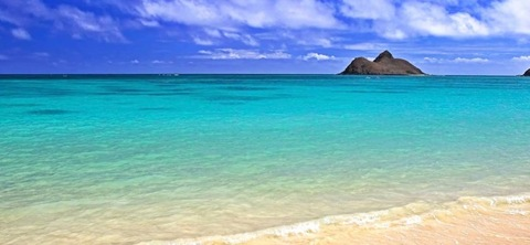 maxariesfree onlyfans leaked picture 2